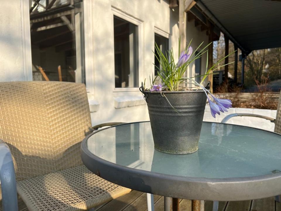 Foresthaus Hébergement de vacances *